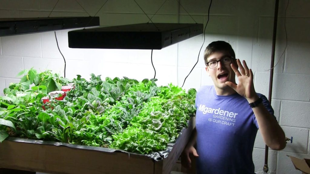 MIgardener: Growing Salad Greens Indoors is Financially Sustainable! Growing Salad Greens Indoors is Financially Sustainable!