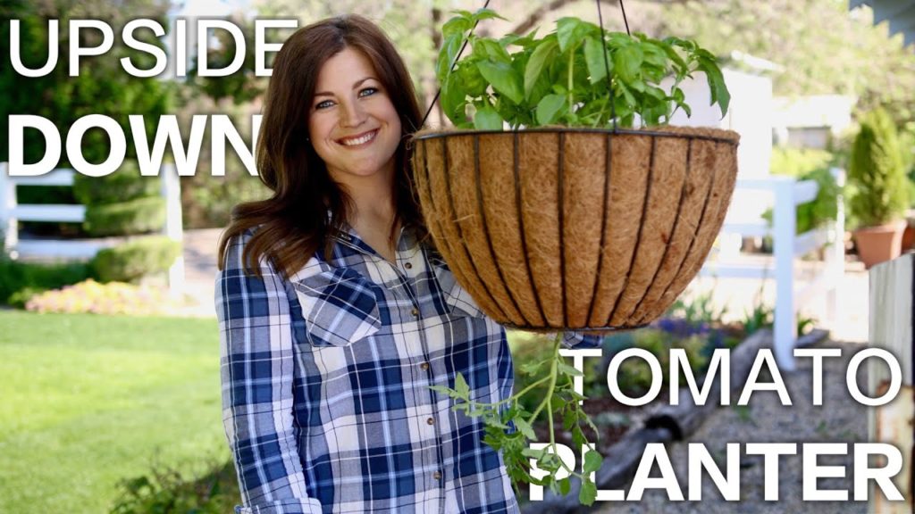 Garden Answer: Upside Down Tomato Planter Upside Down Tomato Planter