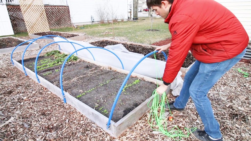 MIgardener: Caterpillar Tunnel Support For Less Than $10 Caterpillar Tunnel Support For Less Than $10