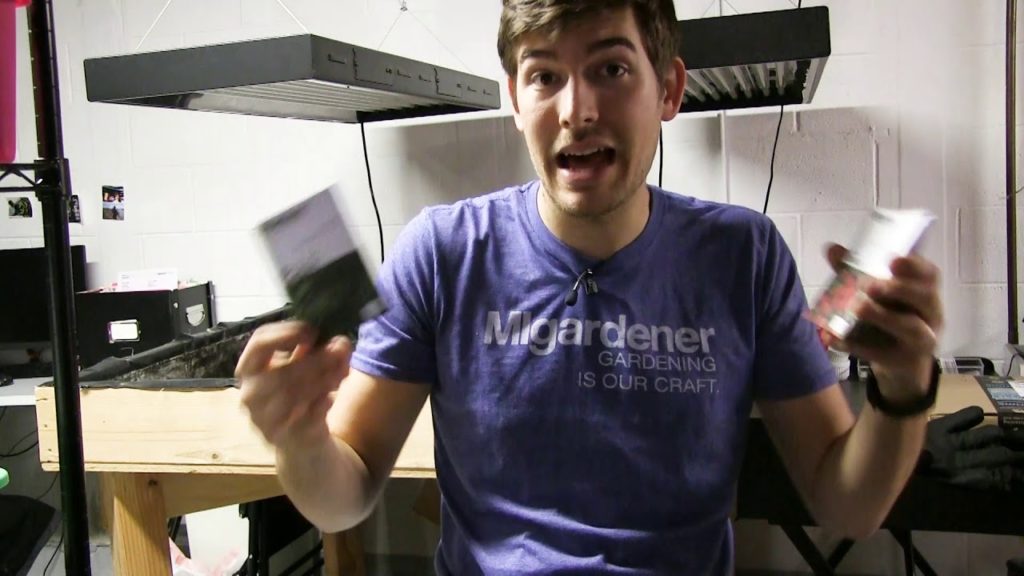 We are Growing a Complete Square Foot Garden Under Lights!