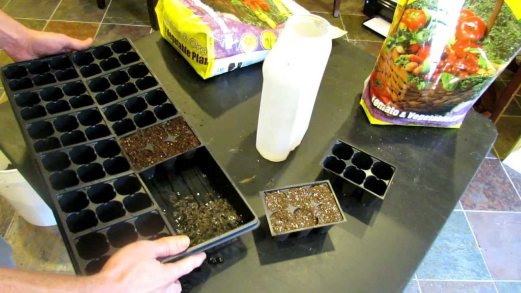 Three Minute Garden Tips: Preparing Seed Starting Mix - Pre-Moisten, Thumb-Pack and Bottom Water