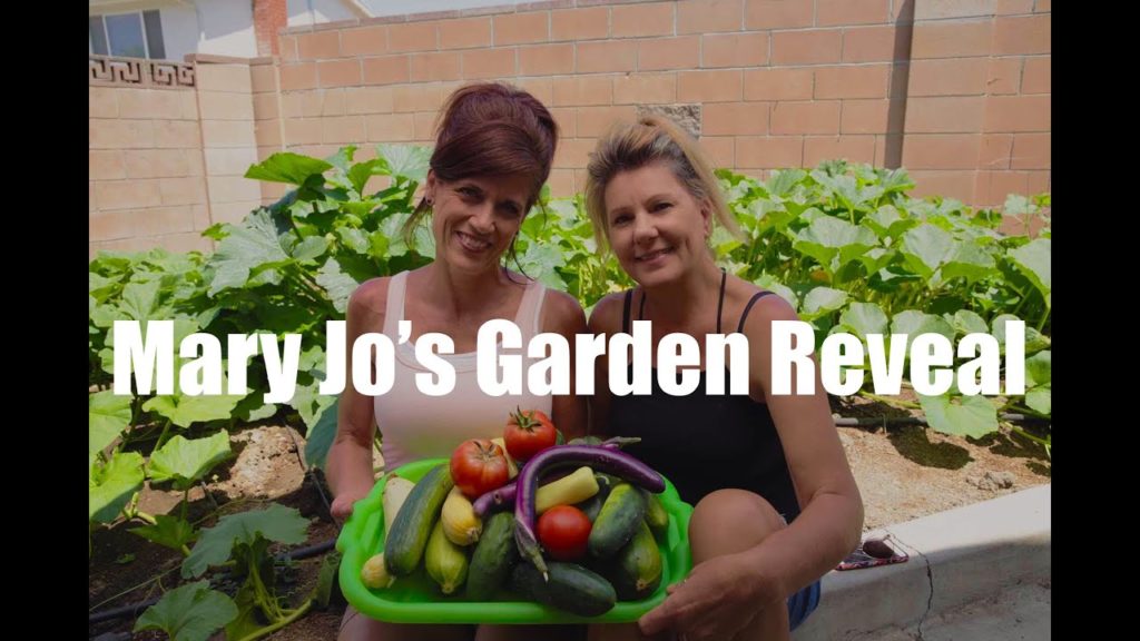 CaliKim: $10 Garden Series #12 – Mary Jo's Garden Reveal – Unbelievable! $10 Garden Series #12 - Mary Jo's Garden Reveal - Unbelievable!