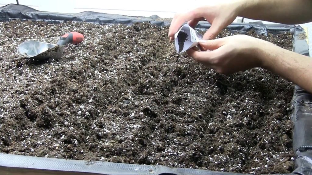 MIgardener: Growing 100% Organically Indoors on 16 Square Feet Growing 100% Organically Indoors on 16 Square Feet