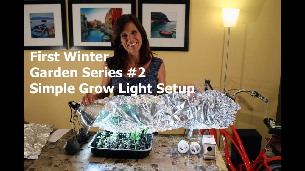 CaliKim: First Winter Garden Series #2: Simple Grow Light Set Up First Winter Garden Series #2: Simple Grow Light Set Up