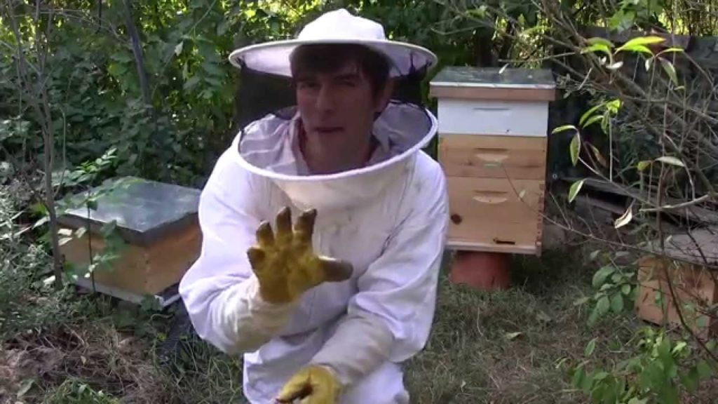 Why I Leave Entrance Reducers On My Hives All Year