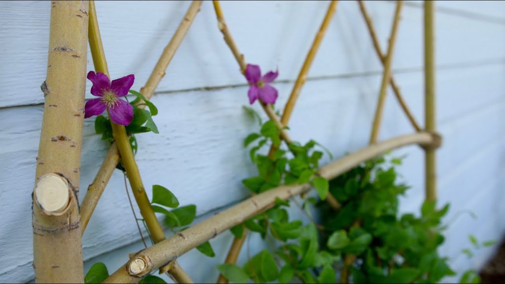 Garden Answer: DIY Willow Branch Trellis // Garden Answer DIY Willow Branch Trellis // Garden Answer