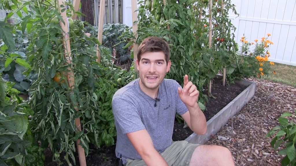 How We Choose the Varieties We Grow Every Year