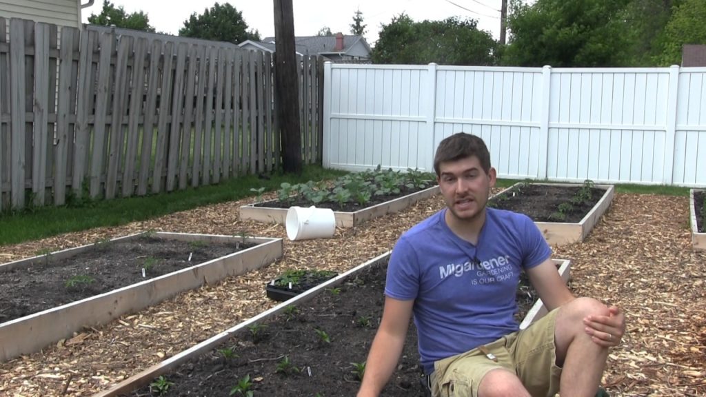 MIgardener: How to Reduce Weeds & Reduce Plant Stress by Watering Smarter How to Reduce Weeds & Reduce Plant Stress by Watering Smarter