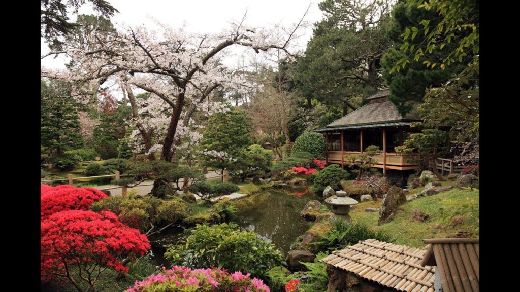 San Francisco Botanical Gardens Golden Gate Park