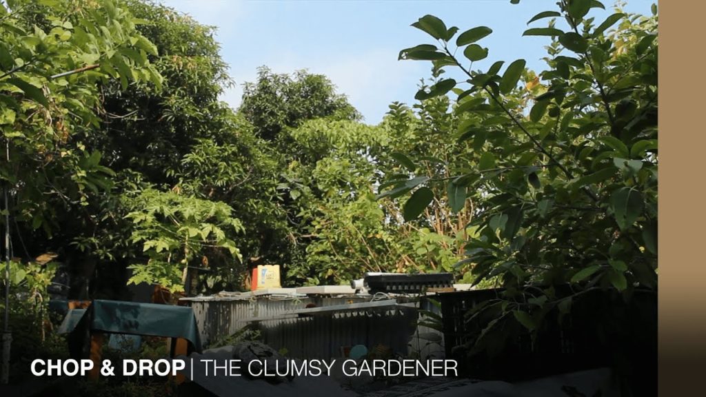THE CLUMSY GARDENER | Chop & Drop