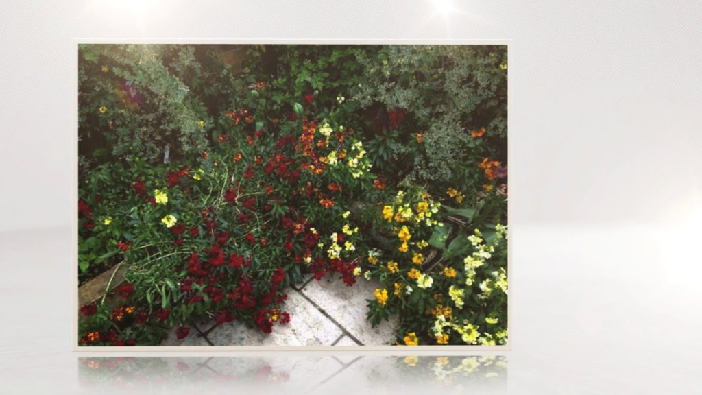 Lambert Gardens in London