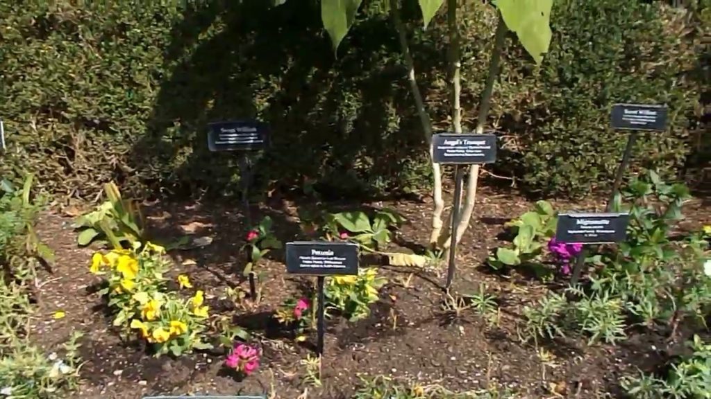 Part 2  Fragrance Garden,Brooklyn Botanic Gardens NYC.