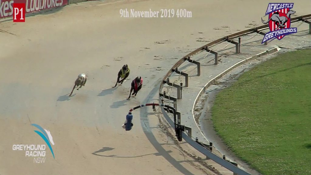 GARDENS-PT-09112019-RACE-1