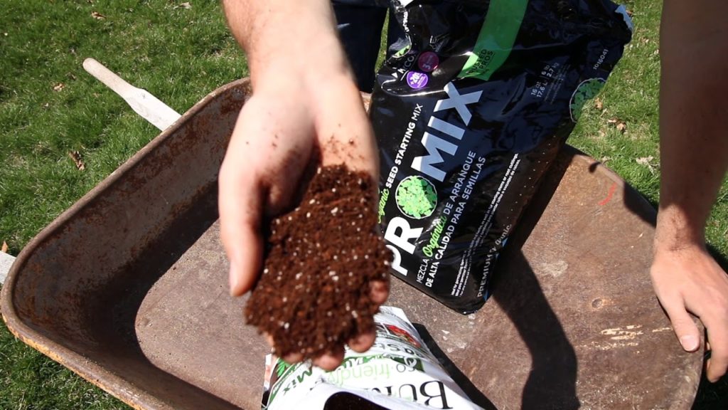 MIgardener: Comparing Two Different Priced Seed Starting Mixes Comparing Two Different Priced Seed Starting Mixes