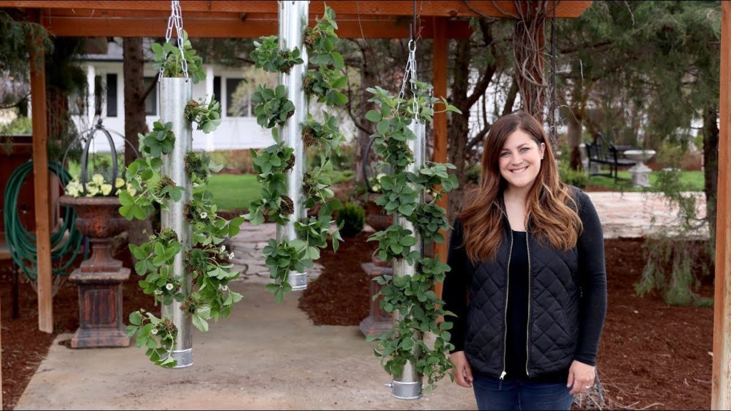 Garden Answer: Galvanized Vertical Strawberry Planter! πππ(FULL VERSION) // Garden Answer Galvanized Vertical Strawberry Planter! πππ(FULL VERSION) // Garden Answer