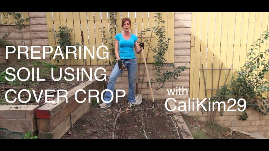 New to Gardening? Preparing Soil For Spring Planting Using Cover Crop