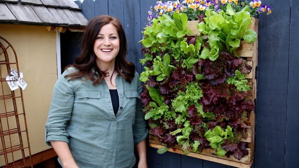 Garden Answer: Updates | Pallet Planter | Tulips | GreenStalk Tower Updates | Pallet Planter | Tulips | GreenStalk Tower