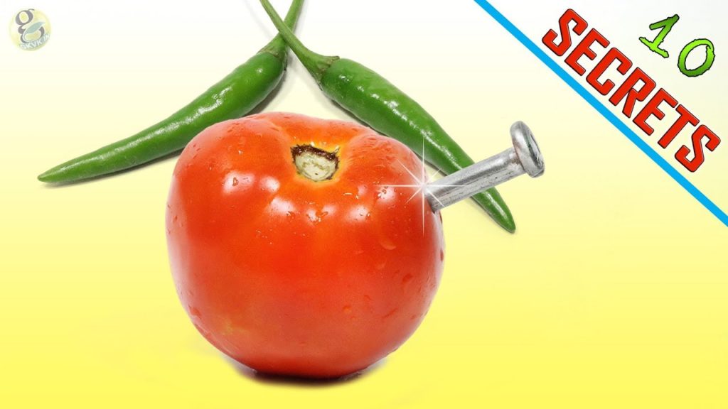 10 SECRETS TO GROWING VEGETABLES AND FRUITS IN CONTAINERS | URBAN GARDENING 10 SECRETS TO GROWING VEGETABLES AND FRUITS IN CONTAINERS | URBAN GARDENING