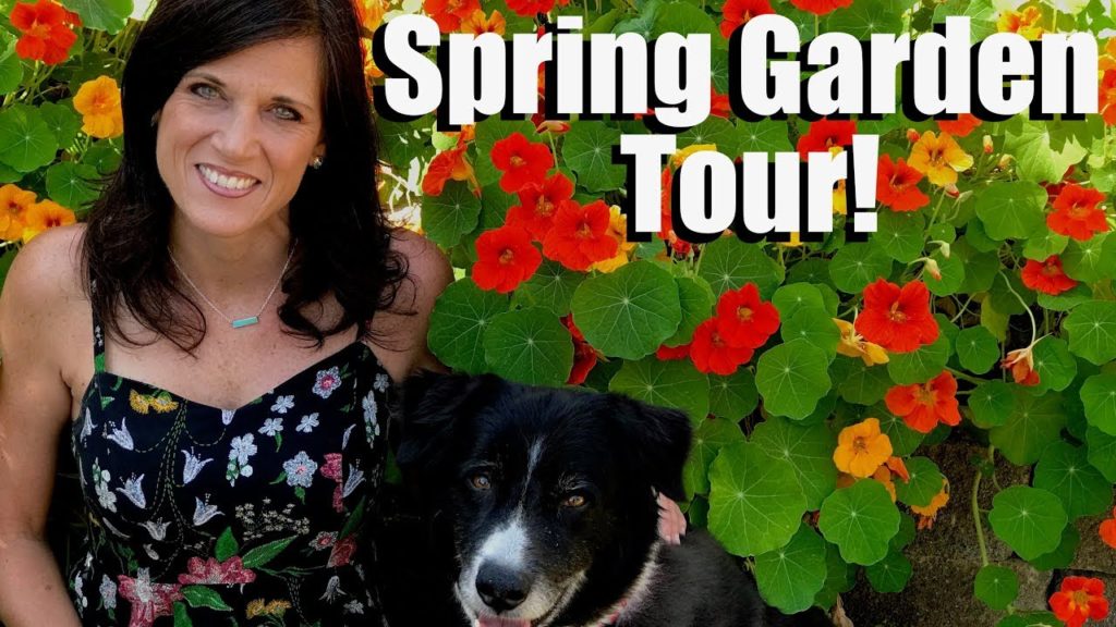 CaliKim: Spring Garden Tour – LOTS of Nasturtiums, Poppies & Garden Tips! Spring Garden Tour - LOTS of Nasturtiums, Poppies & Garden Tips!