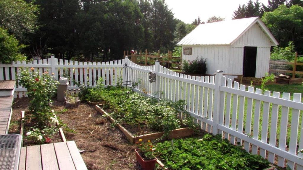 Gary Pilarchik: TRG Homestead VLOG E-3: Renovations, Porches, Butterfly Garden, Tomato Salad Recipe, Garden Tour TRG Homestead VLOG E-3: Renovations, Porches, Butterfly Garden, Tomato Salad Recipe, Garden Tour