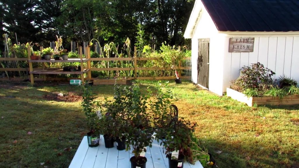 TRG Homestead VLOG E-6: Critique Your Current Garden for Next Year! - Sun & Plant Placement Tips