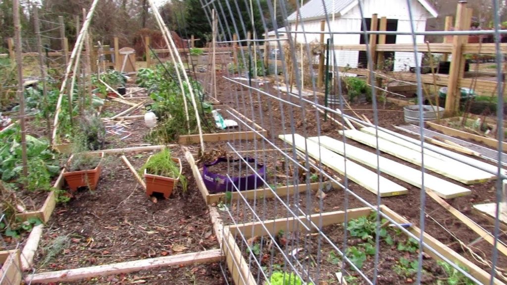 Gary Pilarchik: TRG Homestead VLOG E-7: Gutted the Garden, Cattle Panel is Kind of Up & Fall Redesigns TRG Homestead VLOG E-7: Gutted the Garden, Cattle Panel is Kind of Up & Fall Redesigns