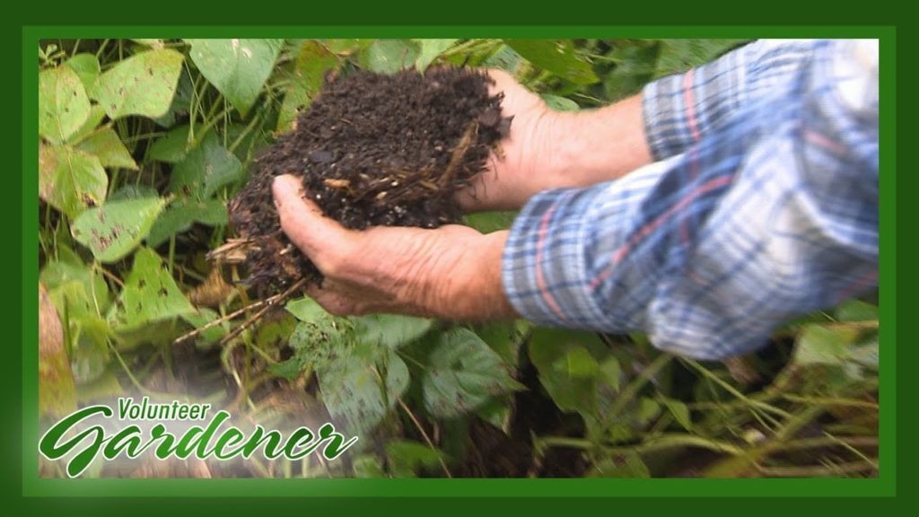 Building Rich Soil | Volunteer Gardener Building Rich Soil | Volunteer Gardener