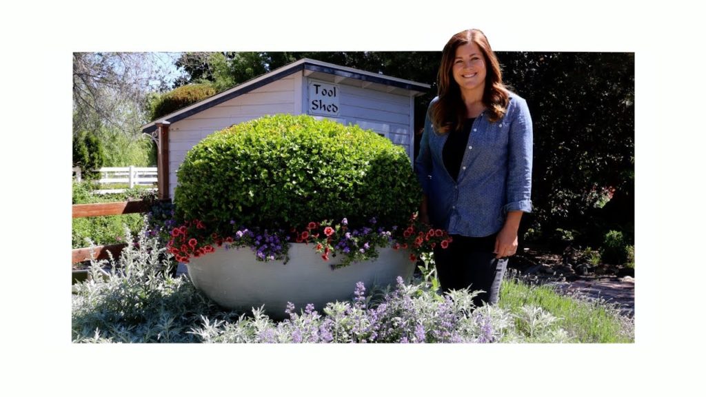 Garden Answer: Boxwood Relocation Project // Garden Answer Boxwood Relocation Project // Garden Answer