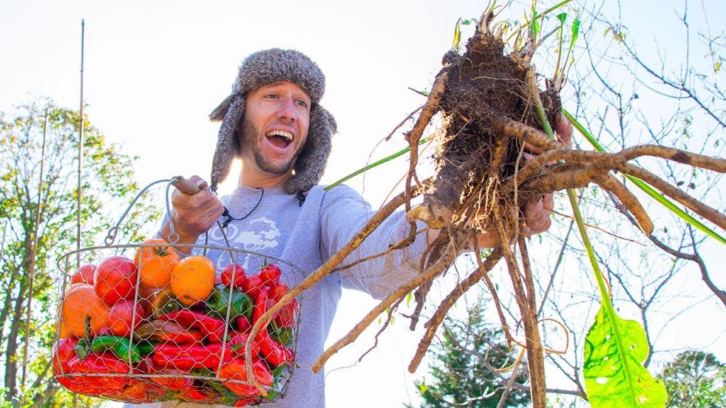 EPIC November Garden Harvest, Backyard Food Forest Gardening