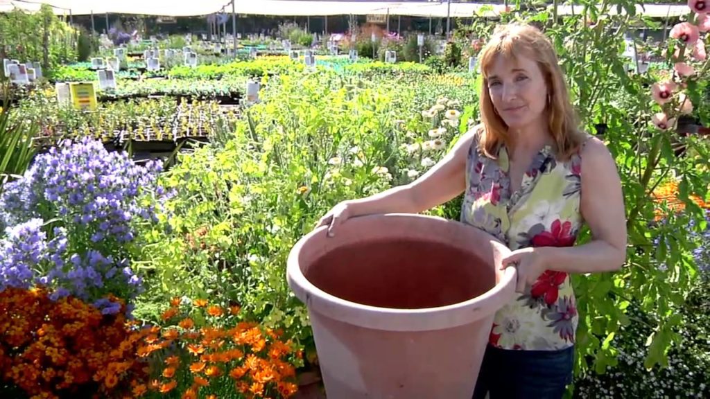 Container Gardening 101!