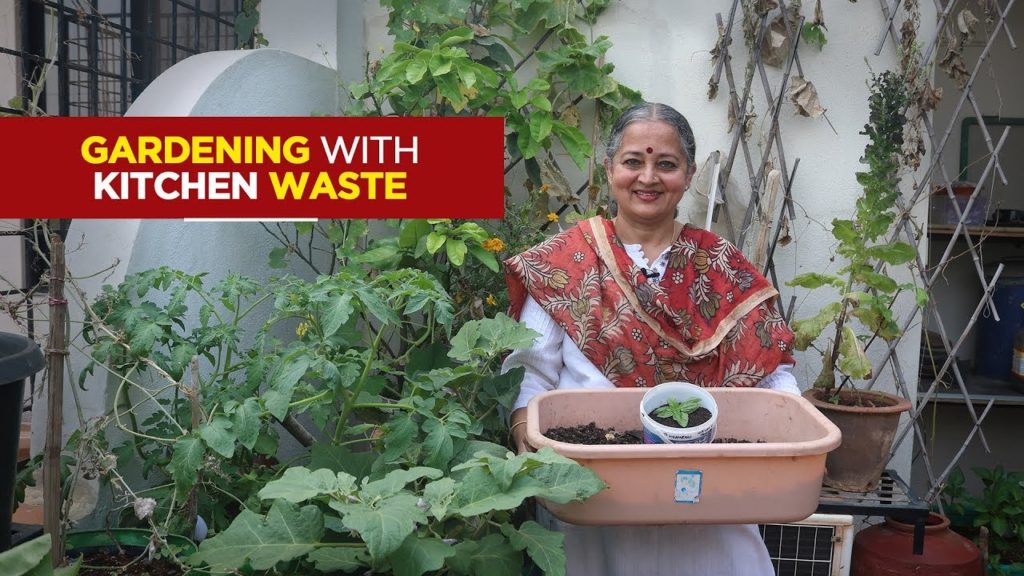 Gardening With The Kitchen Waste