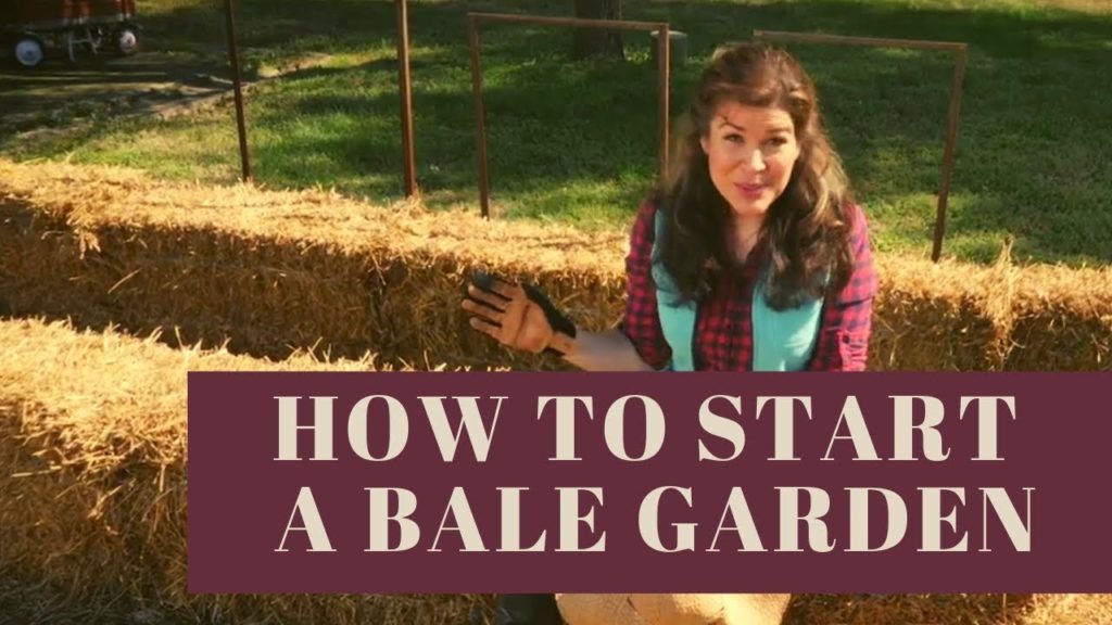 How to Begin "Hay Bale" Gardening or How to Start a Straw Bale Garden How to Begin "Hay Bale" Gardening or How to Start a Straw Bale Garden