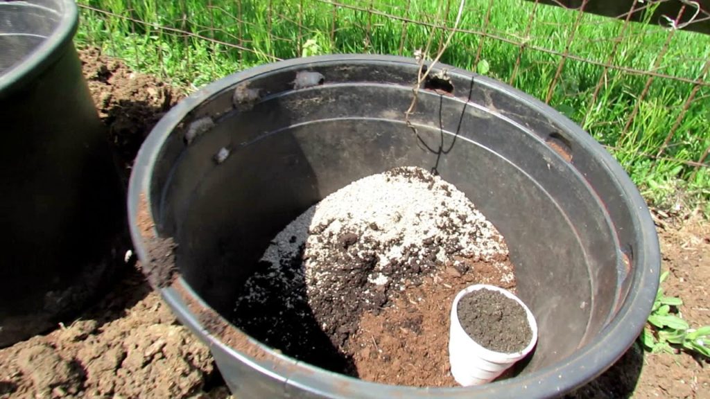 Using Sunken Containers & Two Pepper Plants Per Hole for More Peppers: All the Steps!