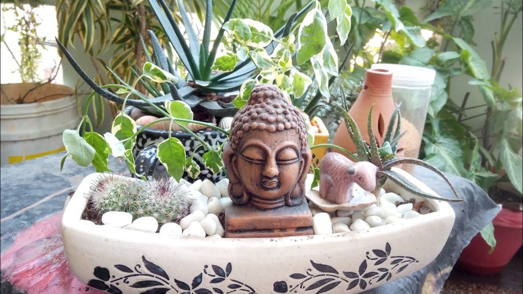 Easy tray garden idea.mini garden.dish gardening