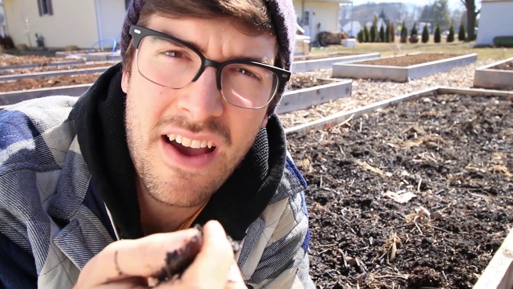 Is My Soil DEAD?