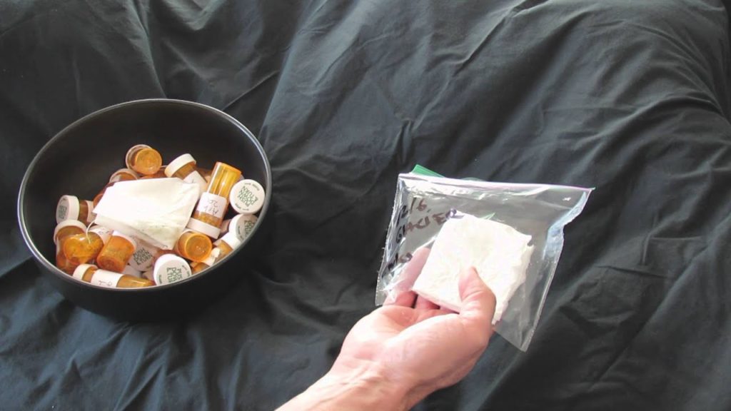 TRG 2016: Test Germinating/Sprouting Tomato Seeds & Other Seeds in the Winter