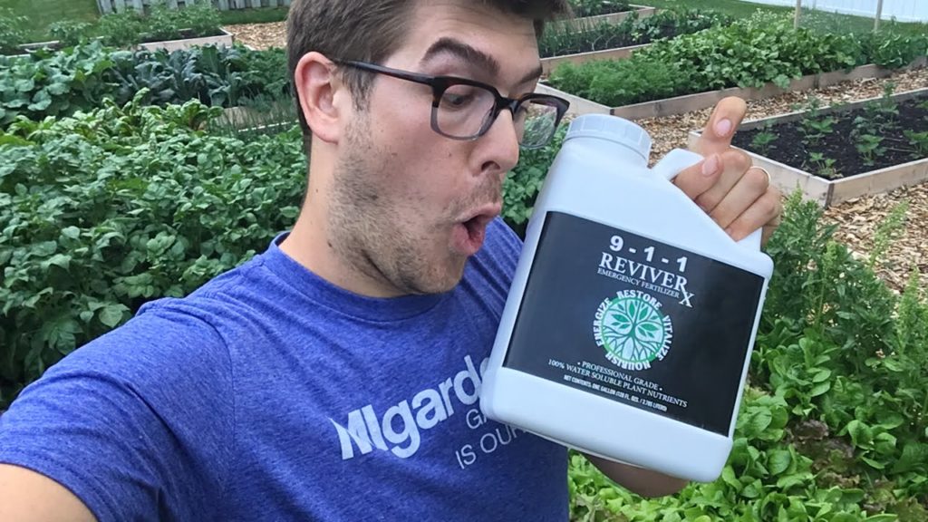 It has arrived! Revive Rx grand reveal!!