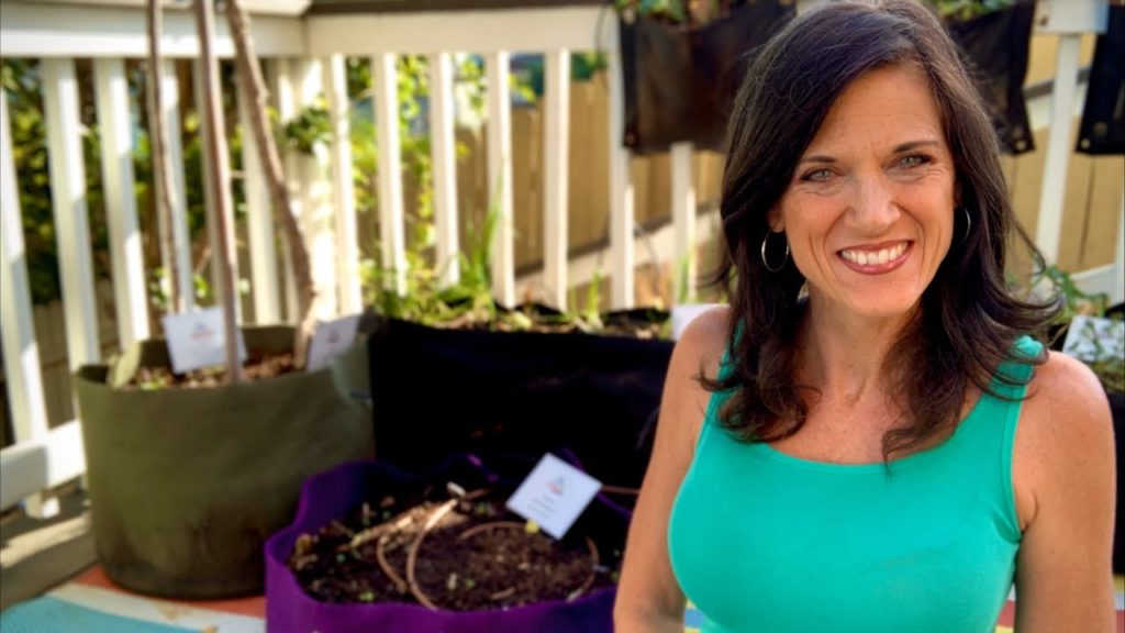 CaliKim: 🍅 LIVE: A’s to your Garden Q’s: Composting, Container Watering, Cool Weather Herbs 🍅 LIVE: A’s to your Garden Q’s: Composting, Container Watering, Cool Weather Herbs