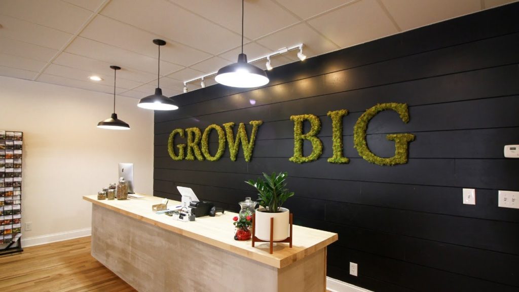 MIgardener: 2020 Seed Collection Launch Party LIVE 2020 Seed Collection Launch Party LIVE