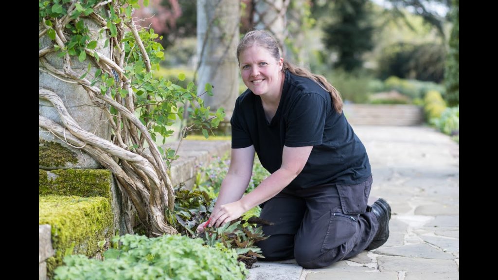 RHS Garden Bridgewater - How Europe's biggest gardening project is transforming lives