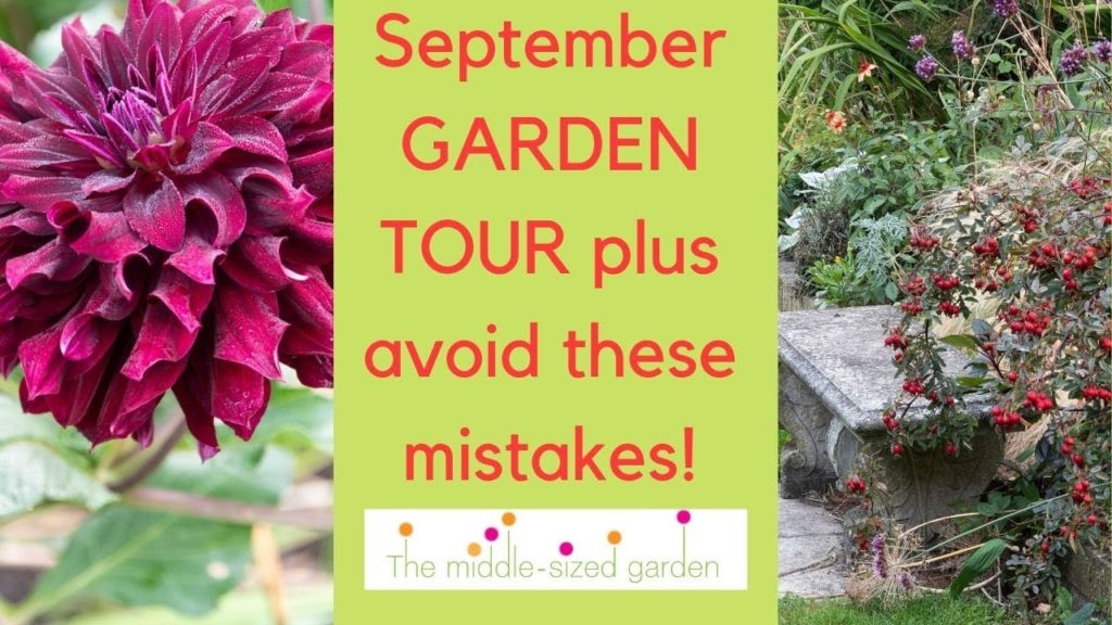 Garden tour – September 2019 … dahlias, pruning and gardening mistakes you can avoid! Garden tour - September 2019 ... dahlias, pruning and gardening mistakes you can avoid!