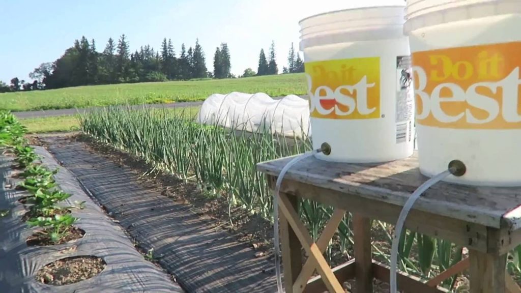 Whizbang Bucket Irrigation For Gardeners