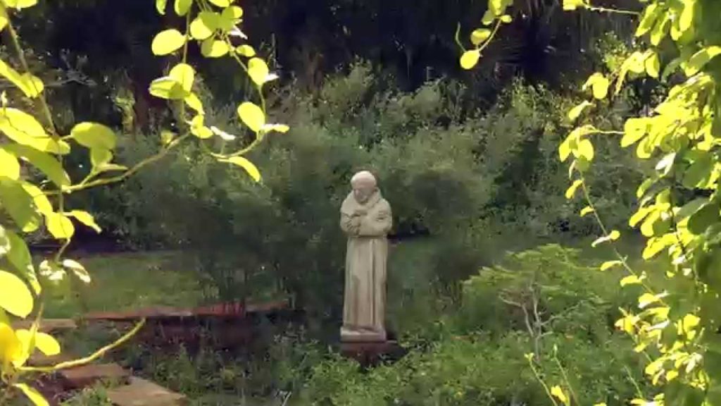 Hummingbird Gardening Hummingbird Gardening