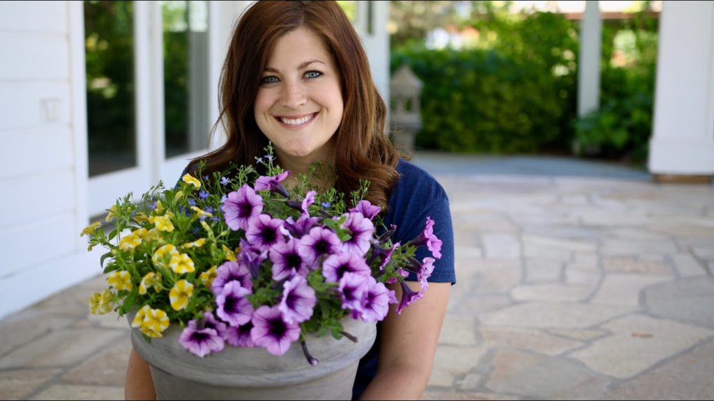 Bahama Beach Combination