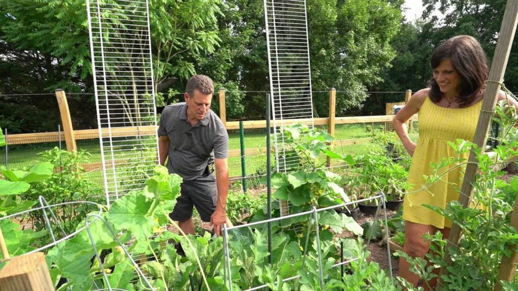 The Rusted Garden Homestead Presents: My Completed Vegetable Garden Toured by CaliKim