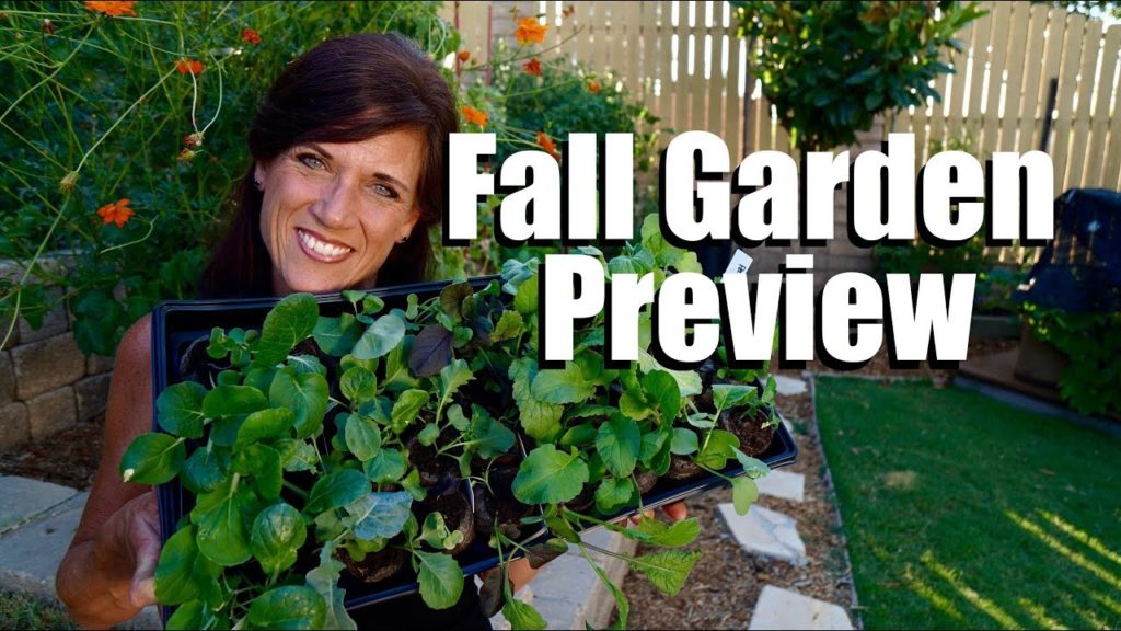 CaliKim: Fall Garden – Cool Weather Vegetables // Preview Fall Garden - Cool Weather Vegetables // Preview