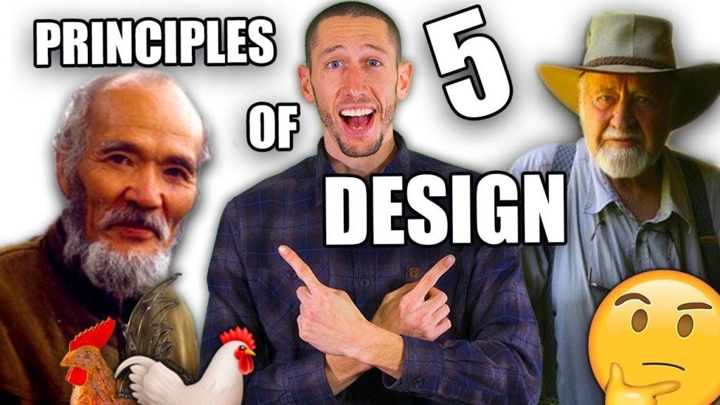 5 Principles of PERMACULTURE DESIGN!