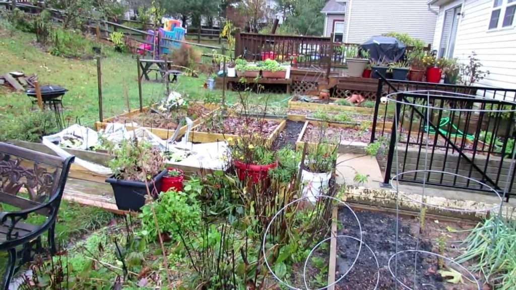 The Fall Vegetable Garden Update and Hurricane Sandy