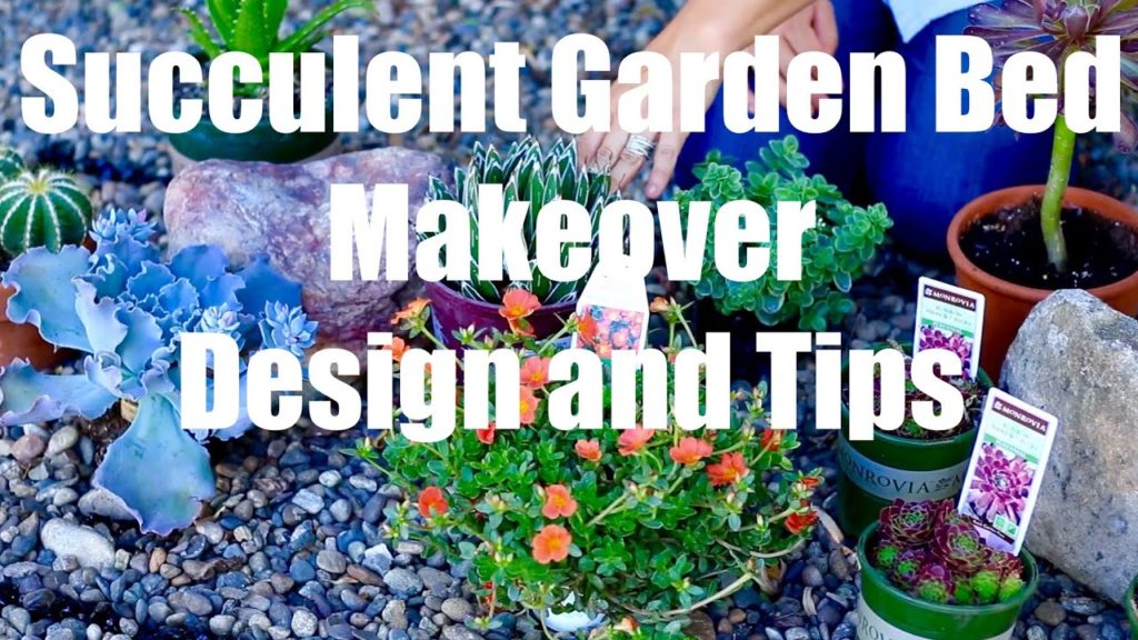 Succulent Garden Bed Makeover  - Design and Easy Growing Tips - Part 1