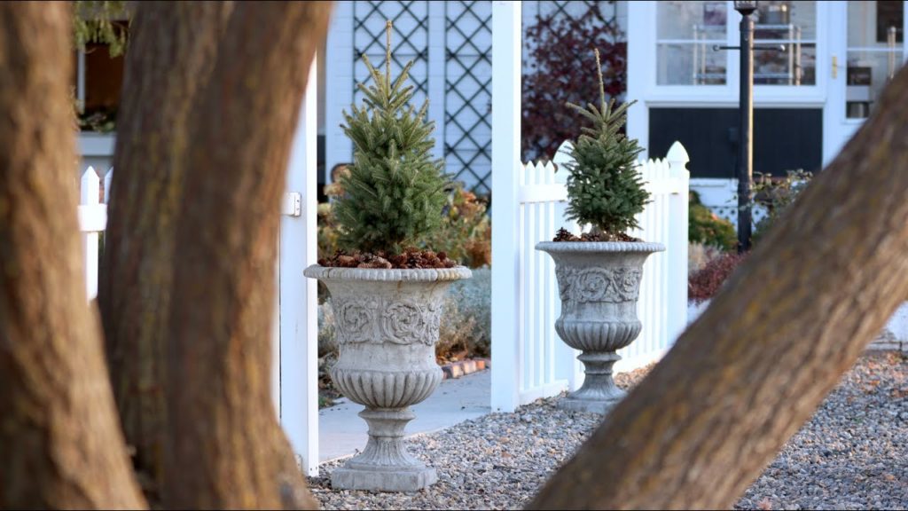 Garden Answer: Simple Winter Containers! 🙌🌲❄️// Garden Answer Simple Winter Containers! 🙌🌲❄️// Garden Answer